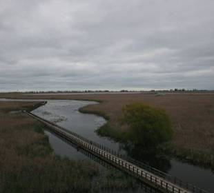 Boardwalk