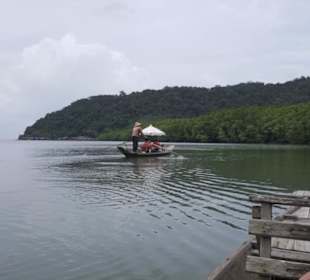 Auf dem Boot durch den Mangrovenwald