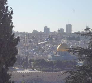 Widok Kopuły z Góry Oliwnej