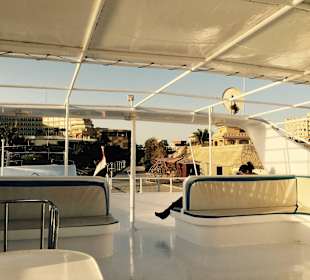 Delfinausflug mit Mo