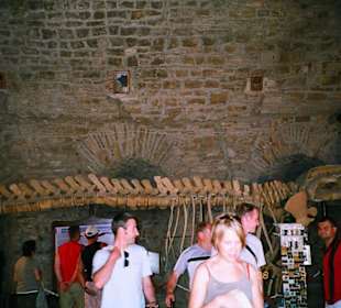 Крепость на птичьем острове