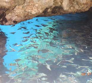 Bootstour zur Grotte blaues Auge
