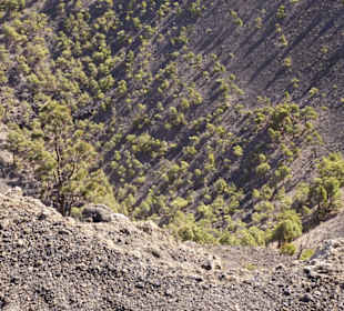 Wo sich Wasser sammelt wächst es besser