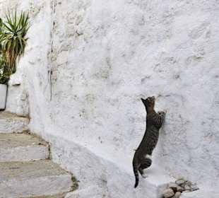 Schöne Gassen von Lindos