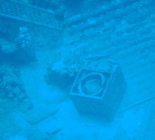 Vor der Salem Express