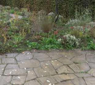 Garten Großbritanien