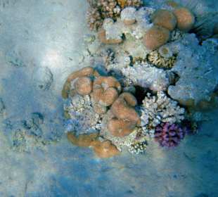 Ausflug Sahrm el Naga