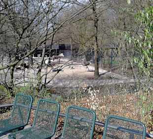 Tierpark Hellabrunn in München