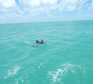 Nach langem Suchen endlich gefunden
