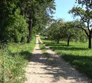 Hochgehnießen - Premiumspazierwanderweg
