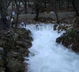 Ses(Fonts) Ufanes-Quellen als Naturschauspiel (4)