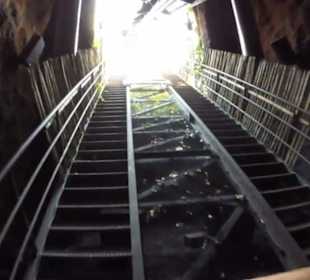 Deep in Africa - Black Mamba