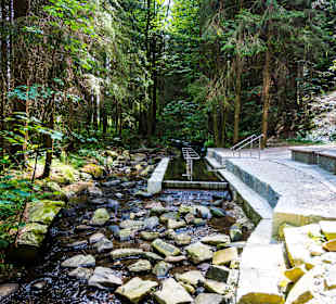 Kneipp-Kur-Garten Prinze Gumpe