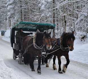 Sogar bei Schnee fahren die Pferdekutschen
