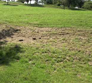 Hochgehnießen - Premiumspazierwanderweg