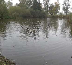 Erlebnisbauernhof und Wildgehege