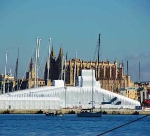 Blick zur Kathedrale