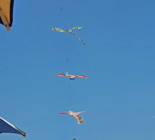 Drachenverkäufer nicht Erlaubt