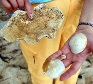 ein naturbelassener Strand ohne Tourismus