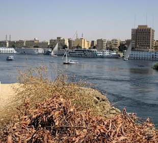 Ausblick von Elephantine