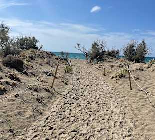 Pink Sand Beach Elafonissi