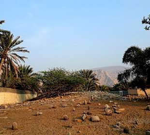 Stadtrundfahrt Khasab