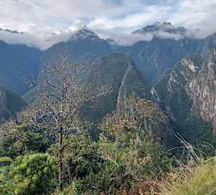 Machu Picchu