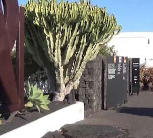 Fundacion Cesar Manrique