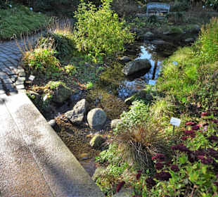 Rundgang durch den Botanischen Garten Hamburg