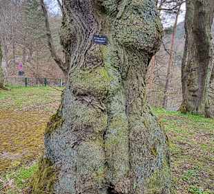 Stadtrundgang Rodenberg
