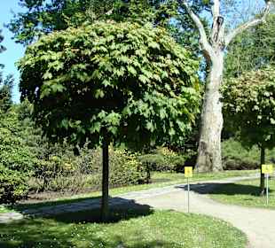 Ogród zaprasza również osoby niepełnosprawne