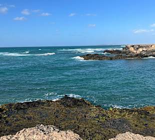 Turtle Bay