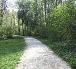 Wanderweg Hochgehwachsen