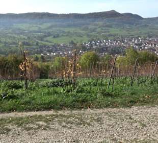Premiumwanderweg hochgehkeltert Neuffen