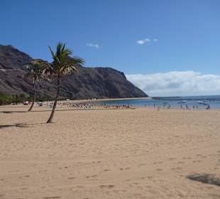 Hier gefällt´s uns!