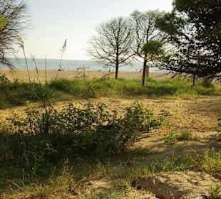 Naturschutzgebiet Gegend