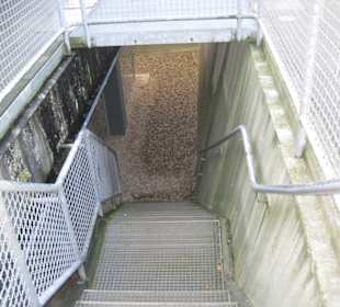 Hinunter ins Innere des Hafentempels / gesperrt