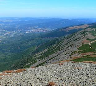 Widok ze szlaku