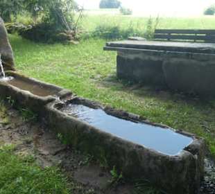 Rundwanderung Extratour Kuppenweg, Platzer Kuppe