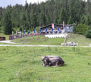 Restaurant Wildmoos Alm