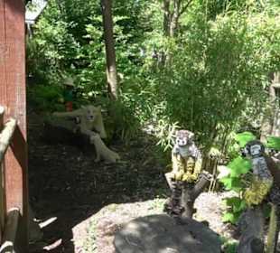 Land der Abenteuer - Dschungel X-pedition