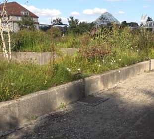 Botanischer Garten München