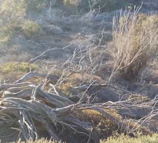 Unser Weg durch die Natur