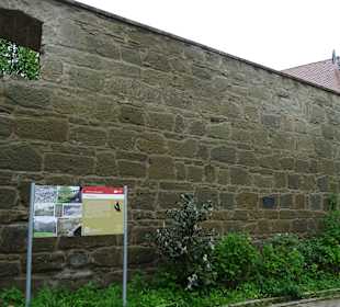 Stadtmauer Gaildorf