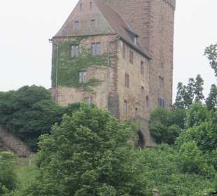 Schifffahrt auf dem Neckar