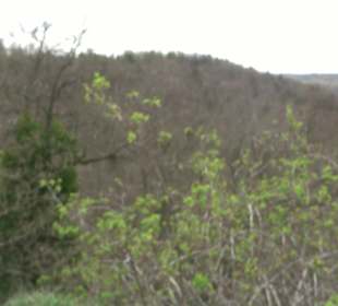 Wanderung rund um das Rusenschloss Gerhausen