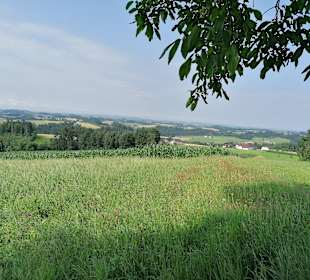 Wandern Niederwaldkirchen