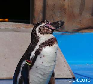 Discovery Park Manavgat