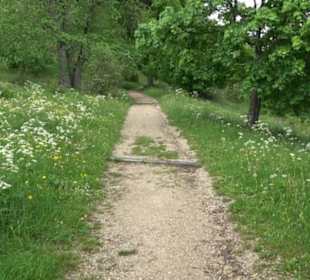 Berg Kornbühl Salmendingen