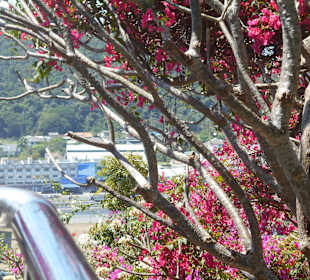 Phra Nakhon Khiri Park